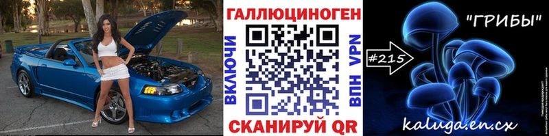 Псилоцибиновые грибы Psilocybe  Вихоревка 